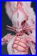 32cm Knights of Sidonia Resin Figure Model Kit Unpained Unassembled Garage Kits