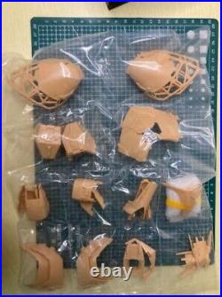 AOK GK Conversion Kits For MS-14S Gelgoog MG 1100