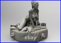 Anime Leia Organa Princess Unpainted GK Model 3D Printed Figures Resin Kit 21cmH