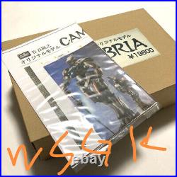 Aura Battler Dunbine GK Figure Model Kit Unpainted Unassembled Garage Kit 34cm