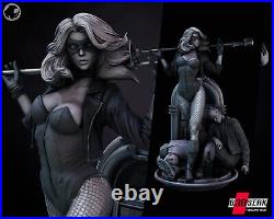 Black Canary 1/6 Resin Model Kit