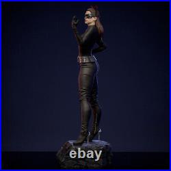 Catwoman 1/8 1/6 1/4 3D print figure Model Kit Unpainted Unassembled Garage Kit