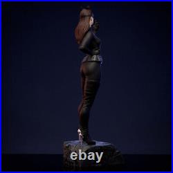 Catwoman 1/8 1/6 1/4 3D print figure Model Kit Unpainted Unassembled Garage Kit