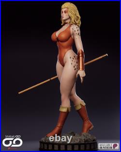 Cheetara, 12K Resin Model Kit Painted 3d Printed DIY Figure