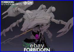Forbidden Gundam GAT-X252 GMD GK Resin Conversion Kits MG 1/100