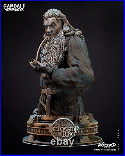 GANDALF the GRAY Ian McKellen Bust Lord of the Rings Resin Model Kit WICKED