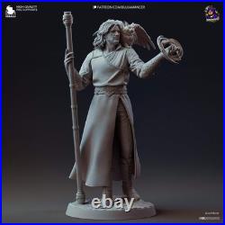 Gale 10-Inch Resin Model Kit BG3 Baldur's Gate Wizard of Mysteries with Tara