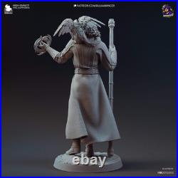 Gale 10-Inch Resin Model Kit BG3 Baldur's Gate Wizard of Mysteries with Tara