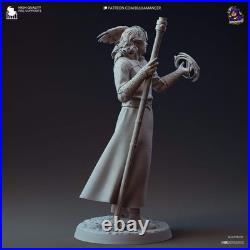 Gale 10-Inch Resin Model Kit BG3 Baldur's Gate Wizard of Mysteries with Tara