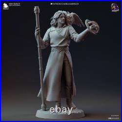 Gale, 255mm, 12K Resin Model Kit Painted 3d Printed DIY Figure