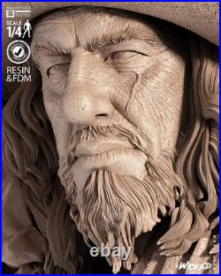 Hector Barbossa Resin Sculpture Bust Statue Model Kit Unpainted/Unassembled