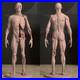 Human Anatomy Model 3D Printing Figure Unpainted Model GK Sculpture Blank Kit