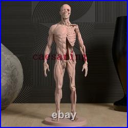 Human Anatomy Model 3D Printing Figure Unpainted Model GK Sculpture Blank Kit
