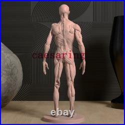 Human Anatomy Model 3D Printing Figure Unpainted Model GK Sculpture Blank Kit
