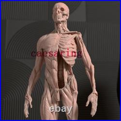 Human Anatomy Model 3D Printing Figure Unpainted Model GK Sculpture Blank Kit
