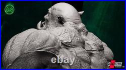 Kilowog Sculpture (350mm)/3D Printed/Unpainted/Unassembled