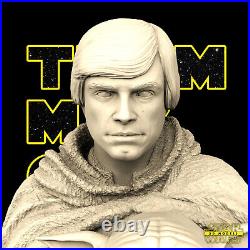 Luke Skywalker 1/6 3D printed unpainted unassembled resin model kit