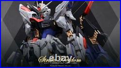 MG Strike Freedom Gundam ZAFT GK Resin Conversion Kits 1100