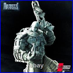 Mr. Freeze Sculpture DC Universe resin scale model kit unpainted 3d print