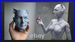New Hot Toy In Stock Cat Woman 3D Printing Unpainted Figure Blank Kit Model GK