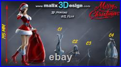 Santa and Sleigh resin scale model kit unpainted 3d print