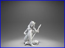Sexy Miss Meow Anime Unpainted Unassembled GK 3D printed Resin Model Kit NSFW