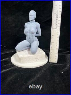 Star Wars Rey Slave Pose Fan Art Resin Model Kit 1/6 or 1/8 Scale