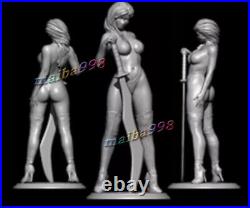 Swordwoman 3D Print Garage Kit Figure Model Kit Unassemble Unpainted GK 1/8 1/6