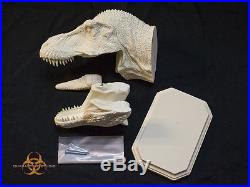 T-Rex Wall Hanging Unpainted Resin Model Kit Quarantine Studio Tyrannosaurus