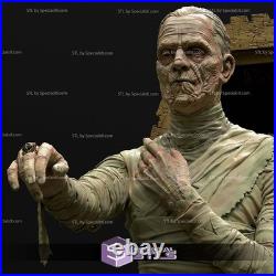 The Mummy sarcophicus Sculpture Statue Model Kit Unpainted/Unassembled The Mummy sarcophicus Sculpture Statue Model Kit Unpainted/Unassembled