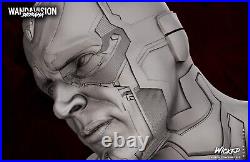 Vision resin scale model kit unpainted 3d print