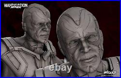 Vision resin scale model kit unpainted 3d print