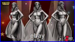 WONDER WOMAN Linda Carter Statue DC Justice League Resin Model Kit B3DSERK