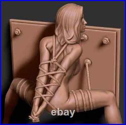 Wall Ornament, 2 Sizes 3D Printed Resin Model Kit Blank Unpainted Unassembled GK