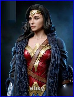 Wonder Woman 3D Print Garage Kit Figure Model Kit Unassemble Unpainted GK