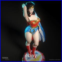 Wonder Woman Fan Art Multi Part Resin 3D Printed Kit