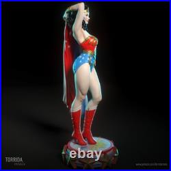 Wonder Woman Fan Art Multi Part Resin 3D Printed Kit